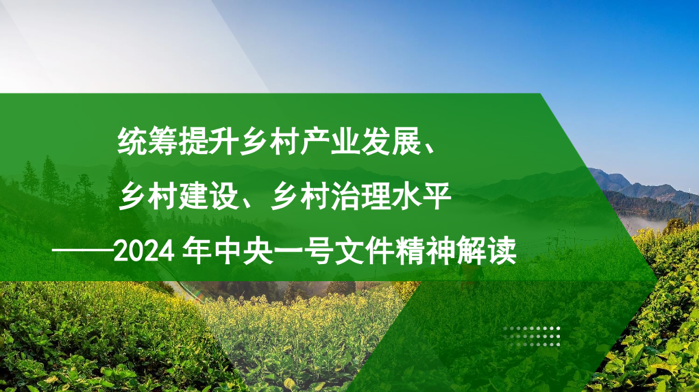2024年中央一号文件精神解读模板（PPT）