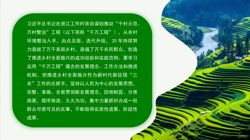 2024年中央一号文件精神解读模板（PPT）