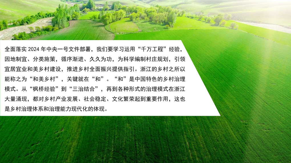 2024年中央一号文件精神解读模板（PPT）